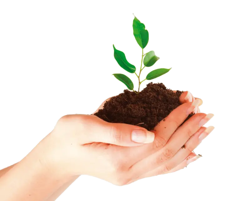 المنتجات العضوية